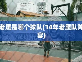 老鹰是哪个球队(14年老鹰队阵容)