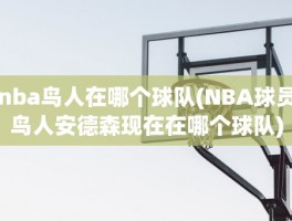 nba鸟人在哪个球队(NBA球员鸟人安德森现在在哪个球队)