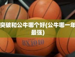 突破和公牛哪个好(公牛哪一年最强)