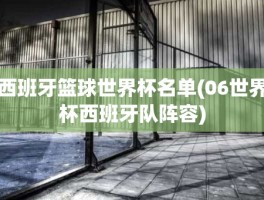 西班牙篮球世界杯名单(06世界杯西班牙队阵容)