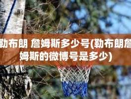 勒布朗 詹姆斯多少号(勒布朗詹姆斯的微博号是多少)