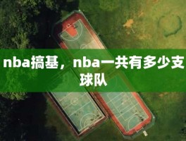 nba搞基，nba一共有多少支球队