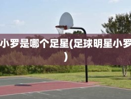 小罗是哪个足星(足球明星小罗)