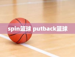 spin篮球 putback篮球