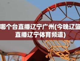 哪个台直播辽宁广州(今晚辽篮直播辽宁体育频道)