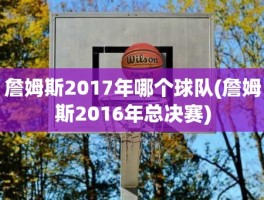 詹姆斯2017年哪个球队(詹姆斯2016年总决赛)