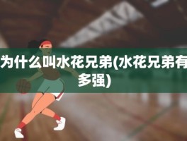 为什么叫水花兄弟(水花兄弟有多强)