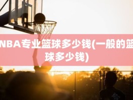 NBA专业篮球多少钱(一般的篮球多少钱)