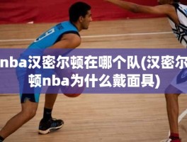 nba汉密尔顿在哪个队(汉密尔顿nba为什么戴面具)