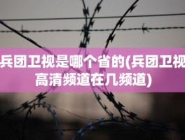 兵团卫视是哪个省的(兵团卫视高清频道在几频道)