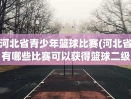 河北省青少年篮球比赛(河北省有哪些比赛可以获得篮球二级证)