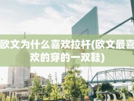 欧文为什么喜欢拉杆(欧文最喜欢的穿的一双鞋)