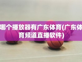 哪个播放器有广东体育(广东体育频道直播软件)