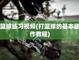 篮球练习视频(打篮球的基本动作教程)