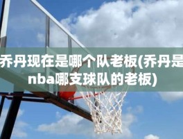 乔丹现在是哪个队老板(乔丹是nba哪支球队的老板)