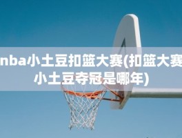 nba小土豆扣篮大赛(扣篮大赛小土豆夺冠是哪年)