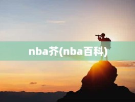 nba芥(nba百科)