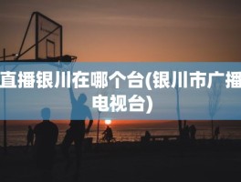 直播银川在哪个台(银川市广播电视台)