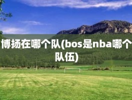 博扬在哪个队(bos是nba哪个队伍)