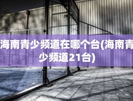 海南青少频道在哪个台(海南青少频道21台)