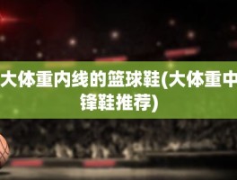 大体重内线的篮球鞋(大体重中锋鞋推荐)