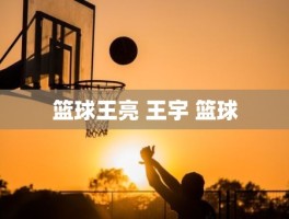 篮球王亮 王宇 篮球