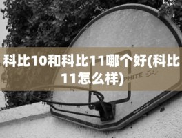 科比10和科比11哪个好(科比11怎么样)