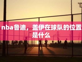 nba鲁迪，盖伊在球队的位置是什么