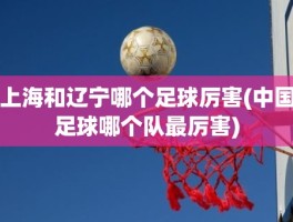 上海和辽宁哪个足球厉害(中国足球哪个队最厉害)