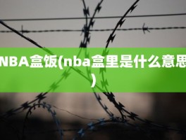 NBA盒饭(nba盒里是什么意思)