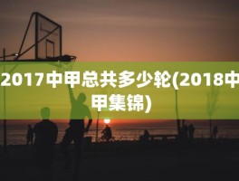 2017中甲总共多少轮(2018中甲集锦)