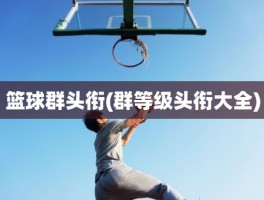 篮球群头衔(群等级头衔大全)