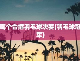 哪个台播羽毛球决赛(羽毛球冠军)