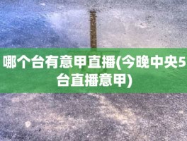 哪个台有意甲直播(今晚中央5台直播意甲)