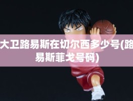 大卫路易斯在切尔西多少号(路易斯菲戈号码)