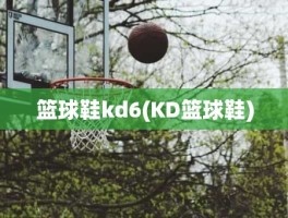 篮球鞋kd6(KD篮球鞋)