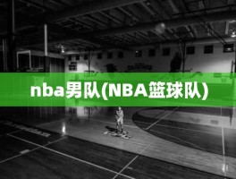 nba男队(NBA篮球队)