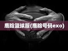 鹿晗篮球服(鹿晗号码exo)