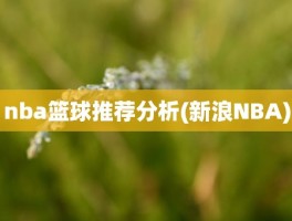 nba篮球推荐分析(新浪NBA)