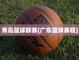 青岛篮球联赛(广东篮球赛程)
