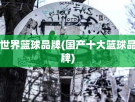 世界篮球品牌(国产十大篮球品牌)