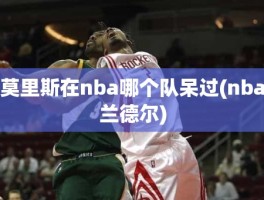 莫里斯在nba哪个队呆过(nba兰德尔)