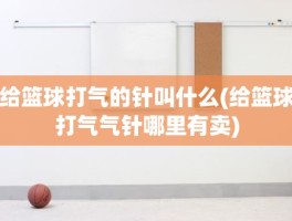 给篮球打气的针叫什么(给篮球打气气针哪里有卖)