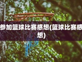 参加篮球比赛感想(篮球比赛感想)