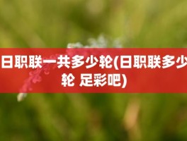 日职联一共多少轮(日职联多少轮 足彩吧)