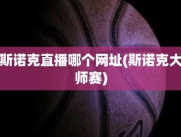 斯诺克直播哪个网址(斯诺克大师赛)