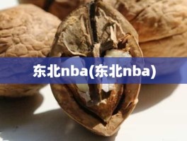 东北nba(东北nba)