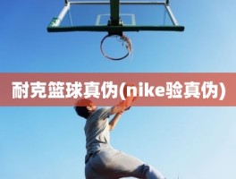 耐克篮球真伪(nike验真伪)