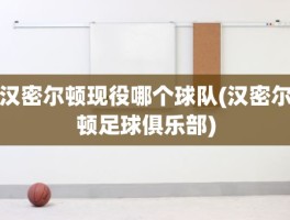 汉密尔顿现役哪个球队(汉密尔顿足球俱乐部)