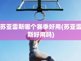 苏亚雷斯哪个赛季好用(苏亚雷斯好用吗)